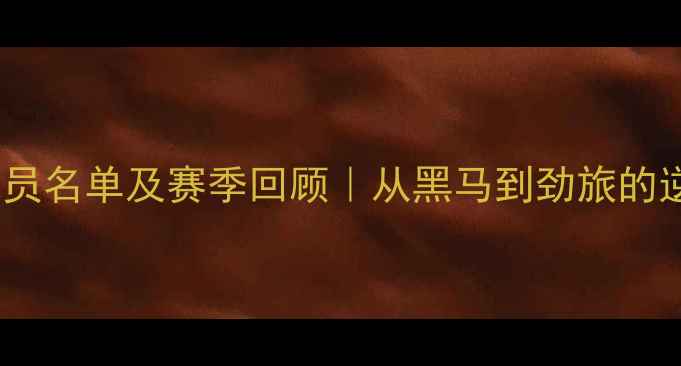 图片 🔥火箭队球员名单及赛季回顾｜从黑马到劲旅的逆袭之路🏆2