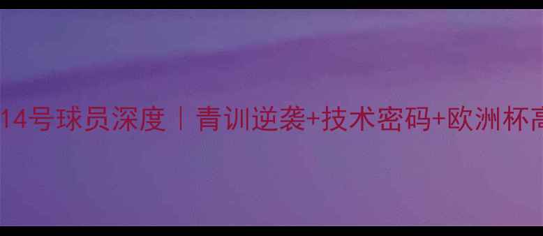 图片 🔥瑞典国家队14号球员深度｜青训逆袭+技术密码+欧洲杯高光全公开🔥1