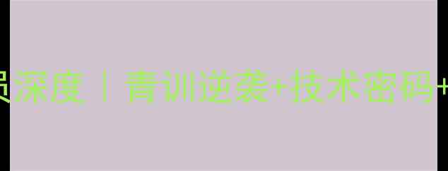 图片 🔥瑞典国家队14号球员深度｜青训逆袭+技术密码+欧洲杯高光全公开🔥2