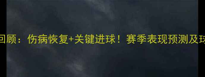 图片 🔥申花新援罗梅罗首秀回顾：伤病恢复+关键进球！赛季表现预测及球迷评价（附高清图）🔥