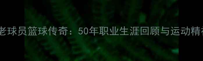 图片 🔥美国元老球员篮球传奇：50年职业生涯回顾与运动精神传承🔥1