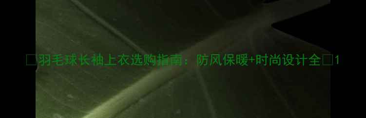 图片 🔥羽毛球长袖上衣选购指南：防风保暖+时尚设计全🏸1