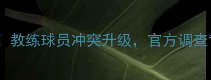 图片 🔥英超惊现更衣室内战！教练球员冲突升级，官方调查背后竟藏惊天内幕？🔥1