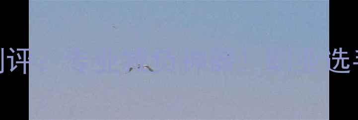 图片 🔥韦伯羽毛球包6测评：专业减负神器！职业选手同款收纳技巧✨2