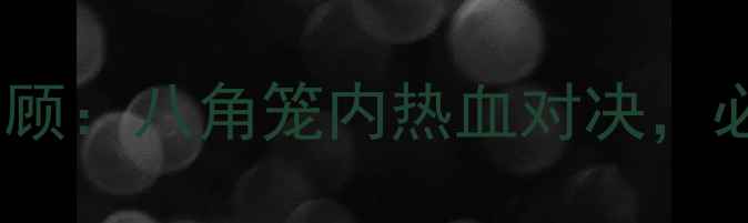 图片 🥊熊朝忠经典赛事全回顾：八角笼内热血对决，必看拳击高光时刻！🥊2